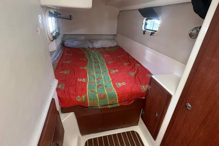 2010 Gemini  - Photo 126