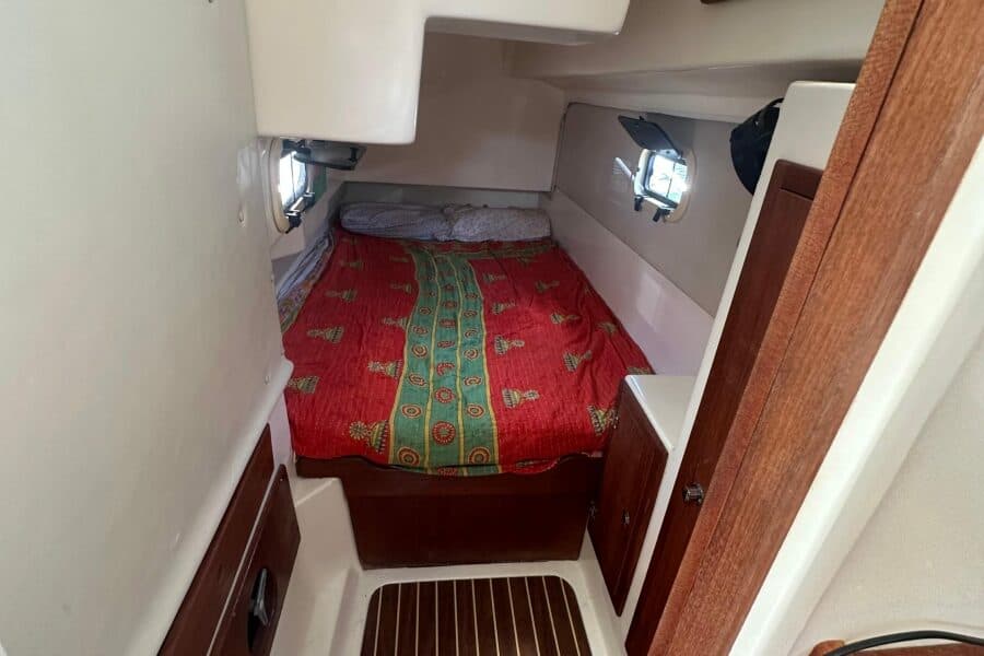 2010 Gemini  - Photo 113