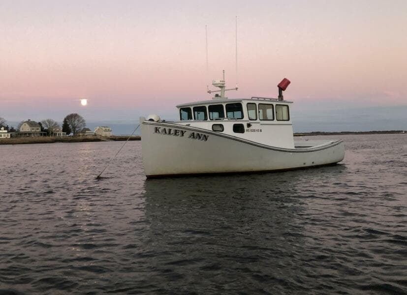 1982 Stanley Greenwood Novi