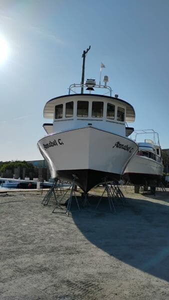 1987 Commercial Monroe