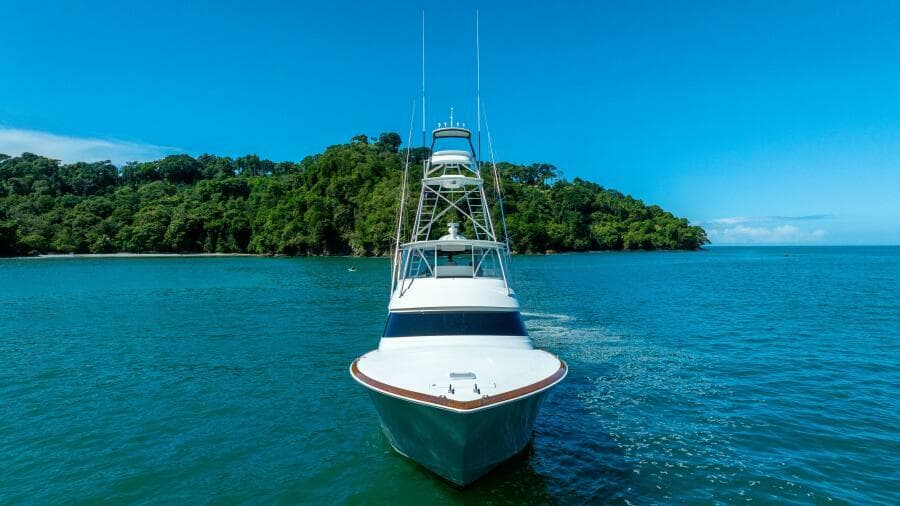 2017 62 Viking Convertible - Offensive