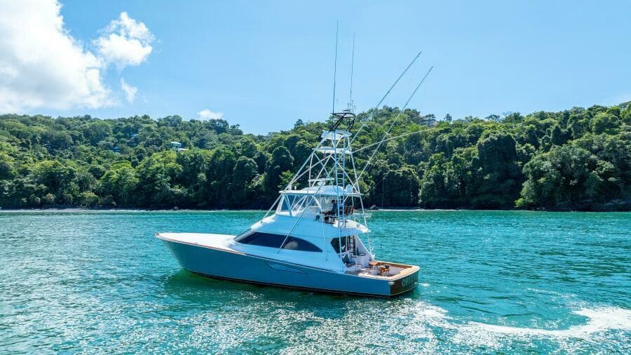 2017 62 Viking Convertible - Offensive