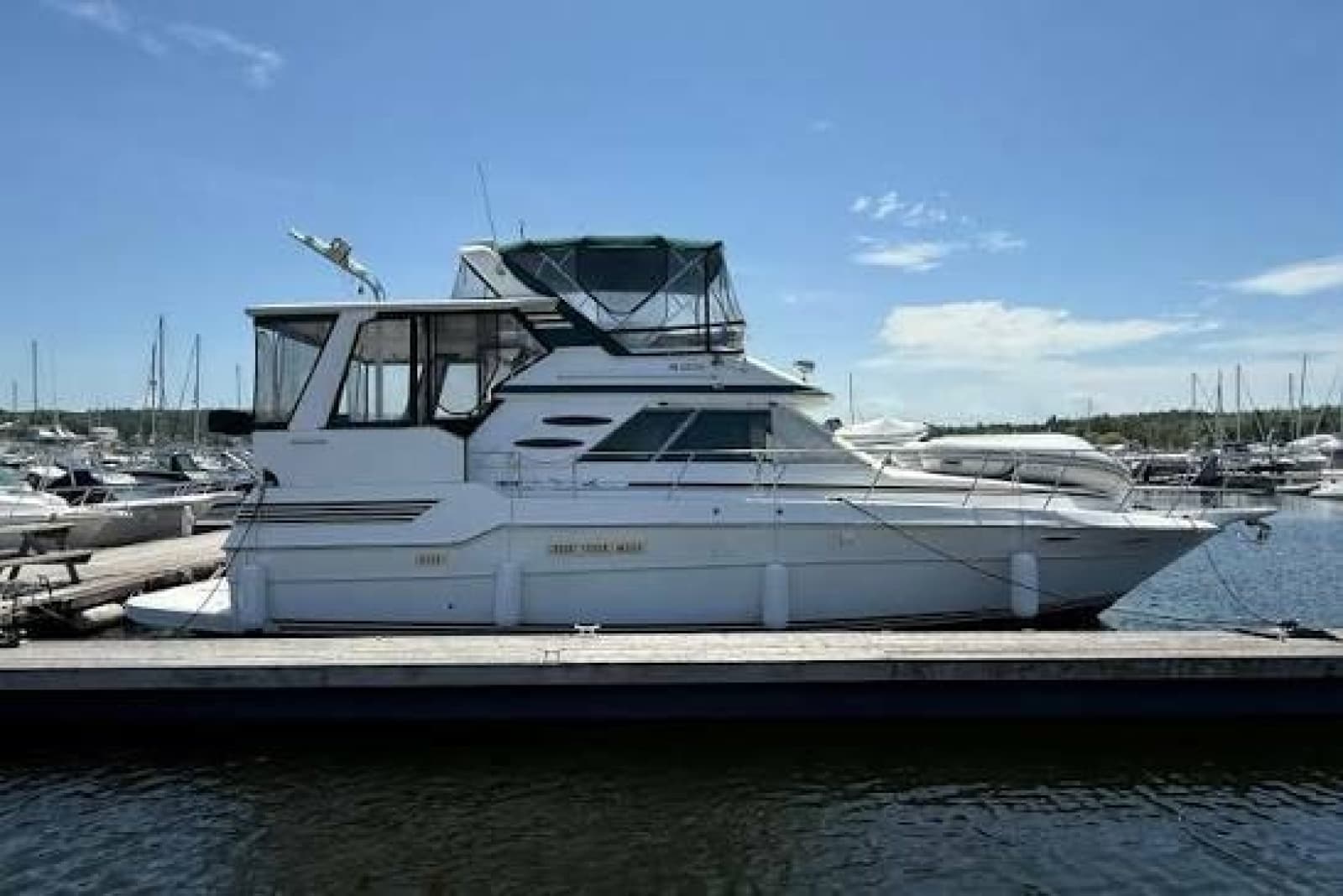 1988 Sea Ray 415 - Photo 1