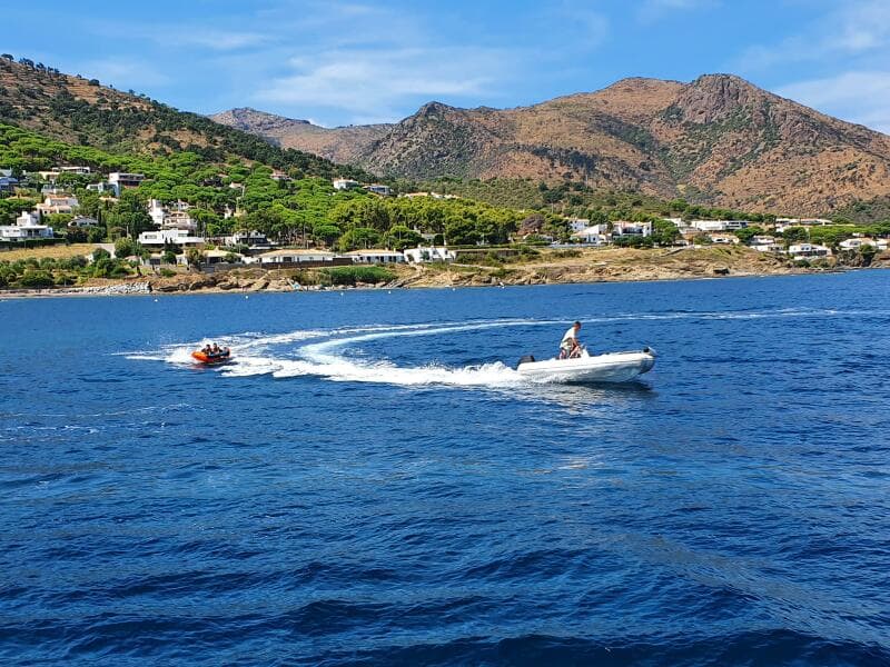 13 Toys 20220910_125519