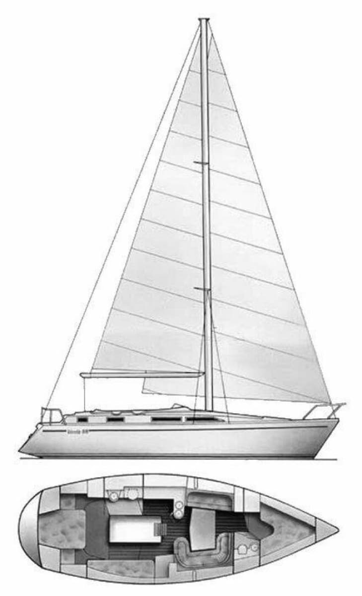 1995 Moody 38 - Photo 29