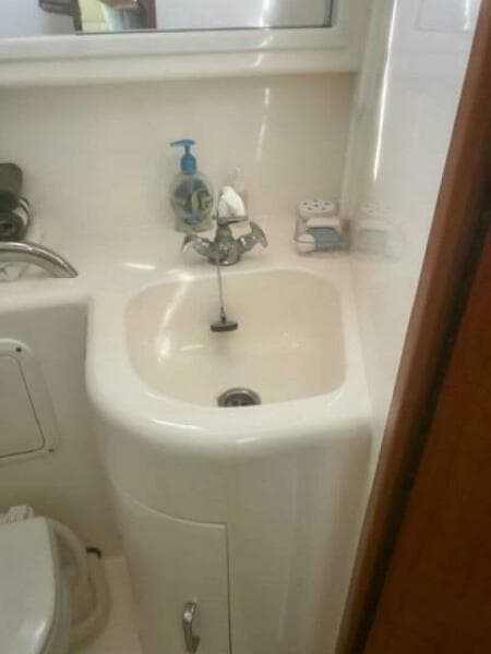 Head   Molded Sink