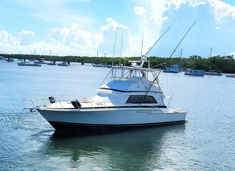 1989 Bertram 50 Convertible