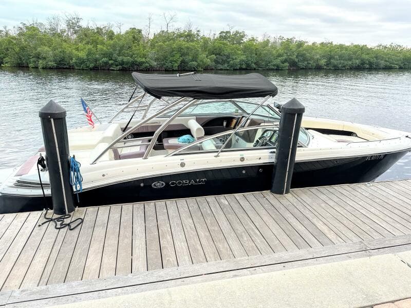 2010 Cobalt 296 Profile 2