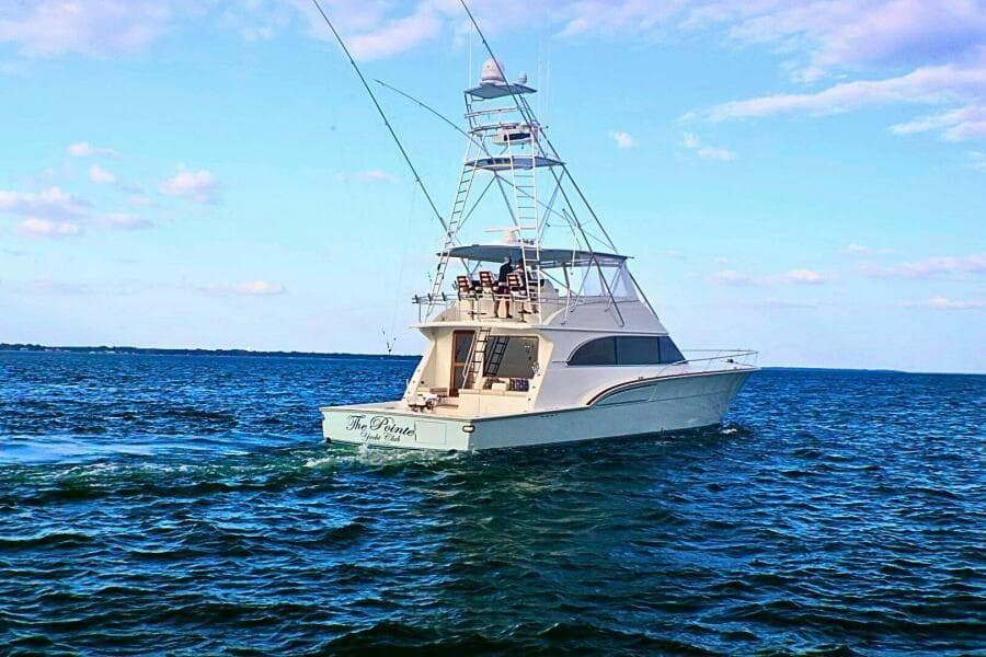 2001 Donzi 73' Sport Fish  Transom