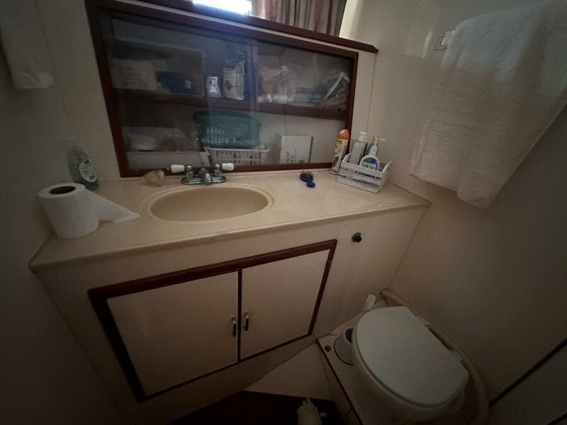 1022 Padraigin Forward Guest Head