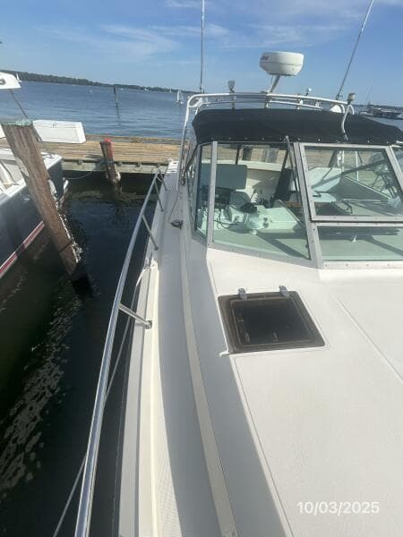 31' Pursuit starboard side deck2