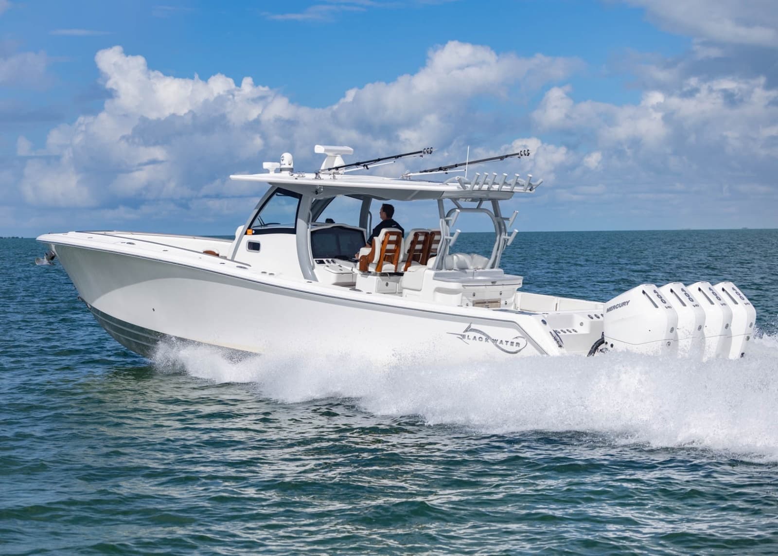 2024 BlackWater 43 Sportfish - Photo 10