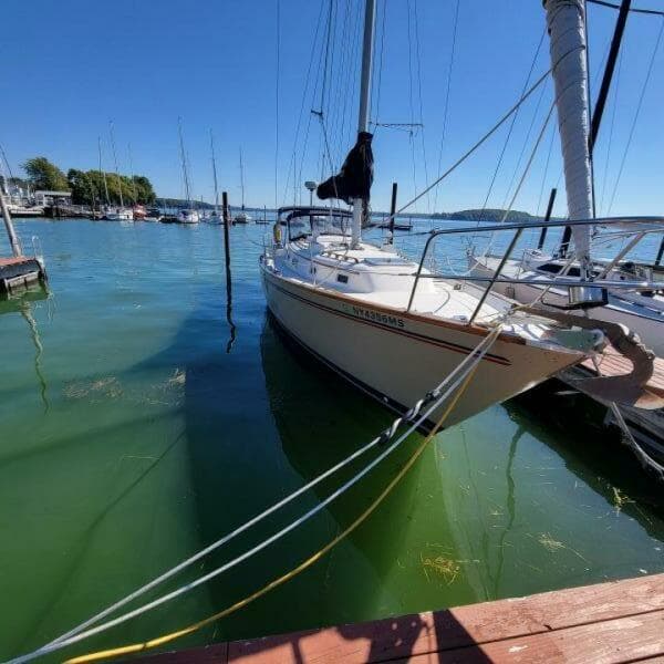 1984 Pearson Pearson 386