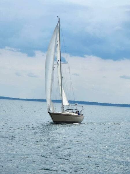 1984 Pearson Pearson 386