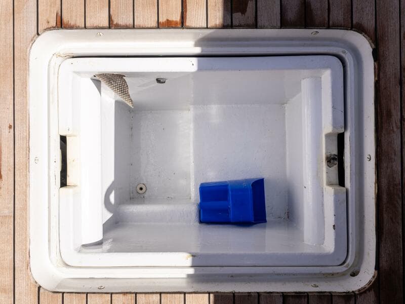 1981 Merritt 55 Convertible