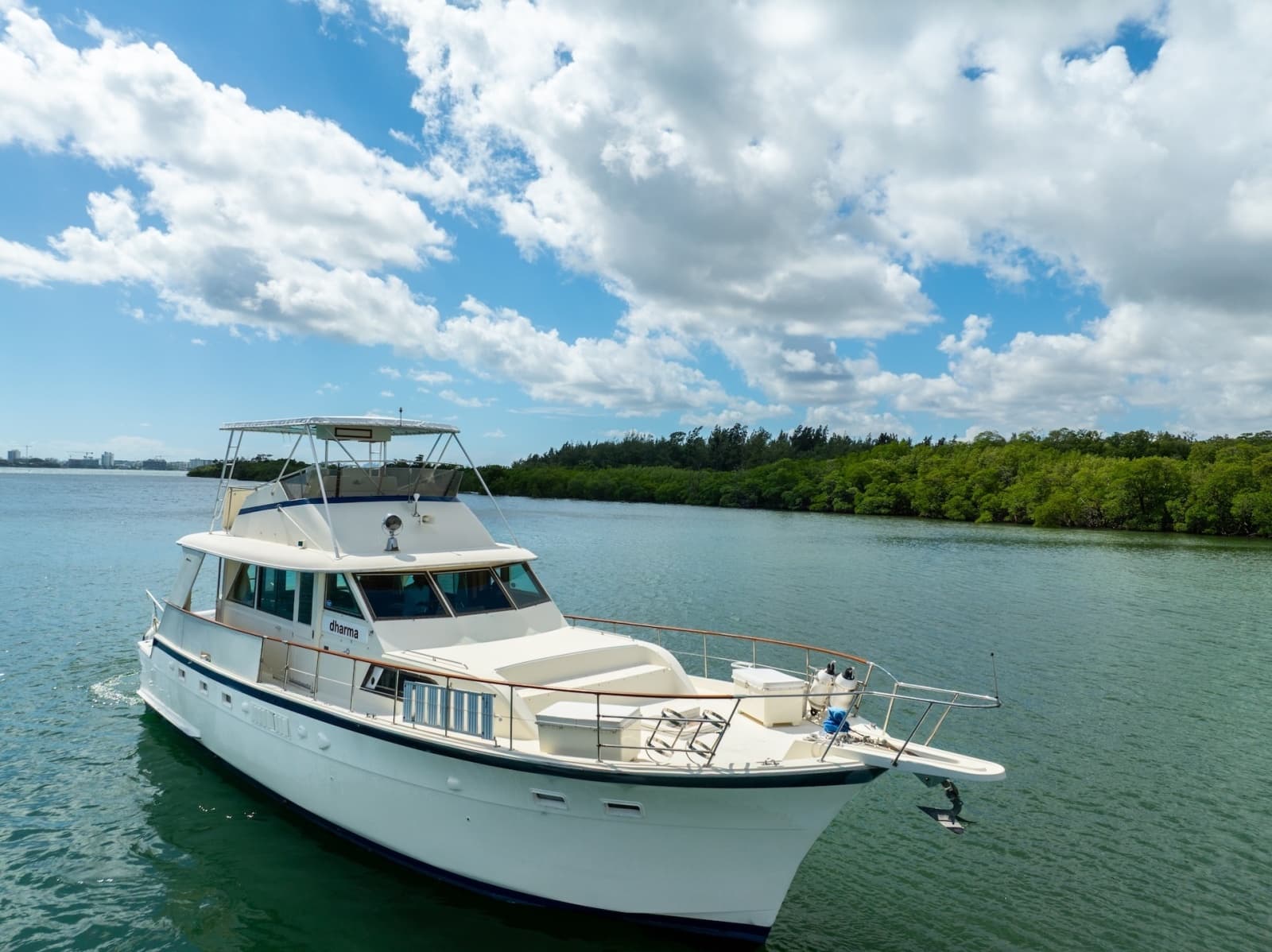 1978 Hatteras 53 Yacht Fisherman - Photo 6