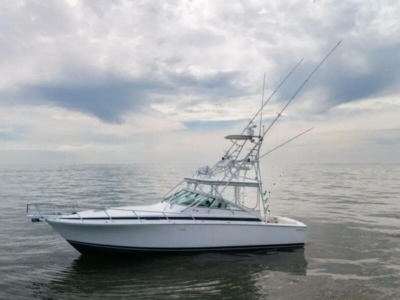 1998 Bertram 36 Moppie