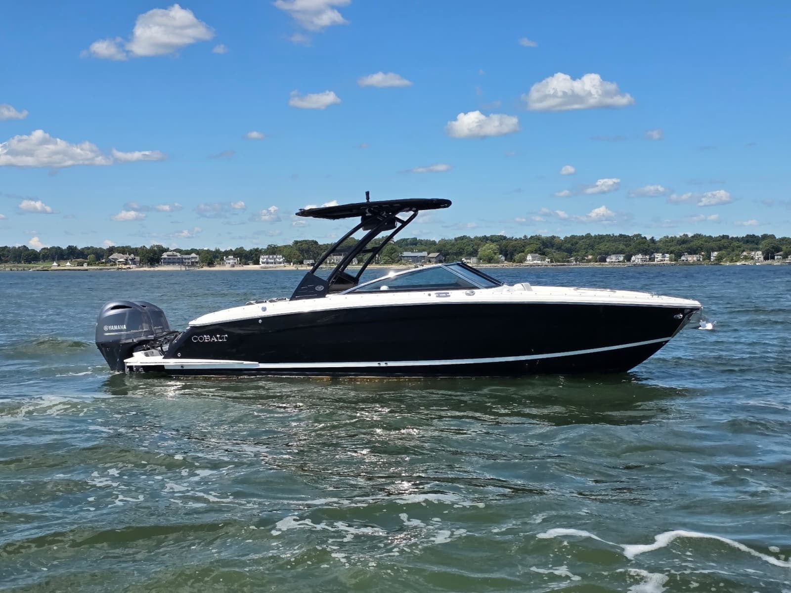 2024 Cobalt  - Photo 1