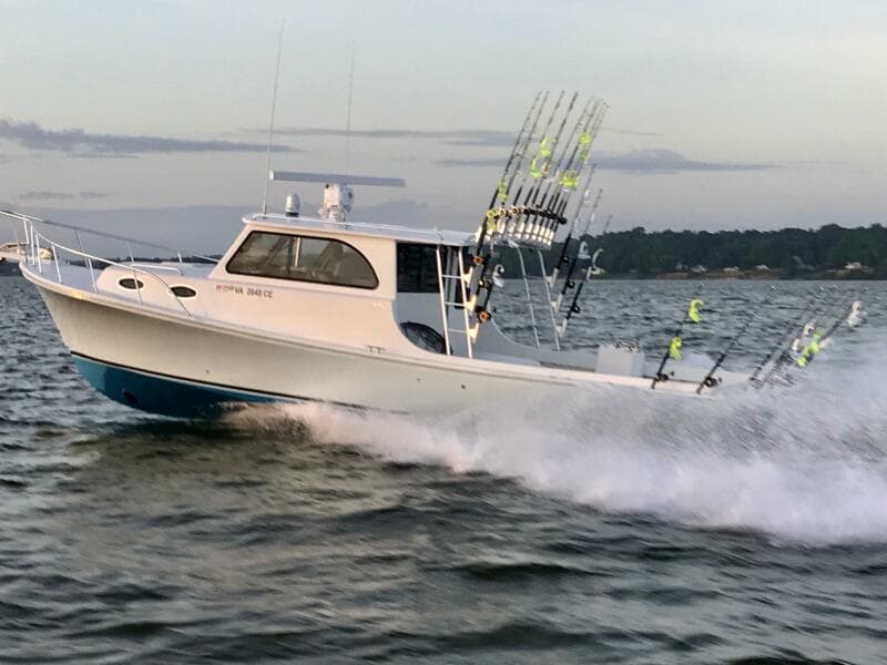 2019 Judge 36 Chesapeake