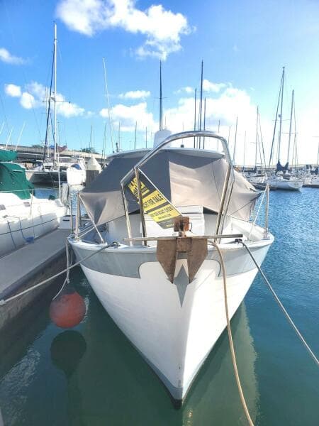 1973 Willard Vega  30 Voyager