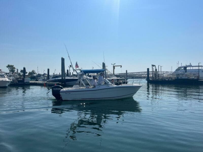 2003 Palm Beach 22DC White Cap