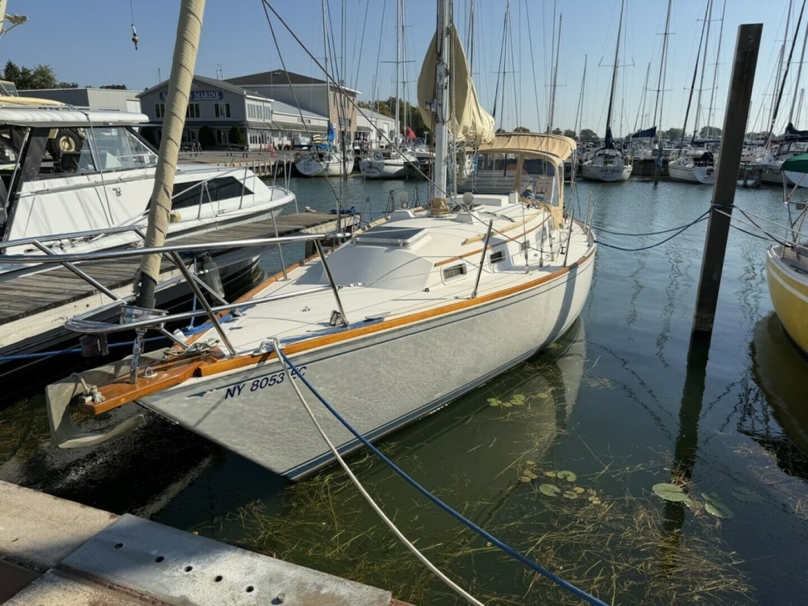 1984 Sabre Sabre 34-1 - Photo 1