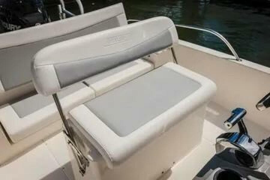 2017 Boston Whaler 21 Dauntless