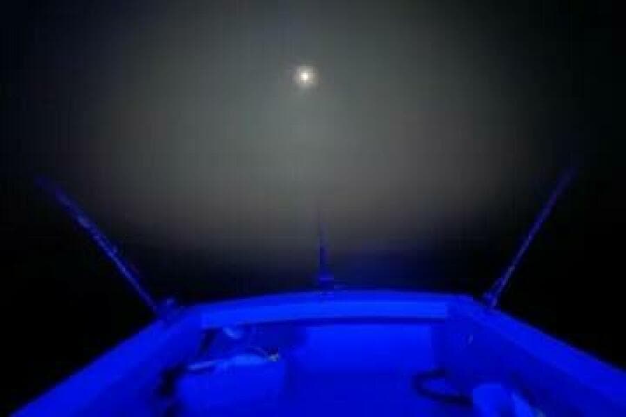 1981 Holland 32 Sport Cruiser