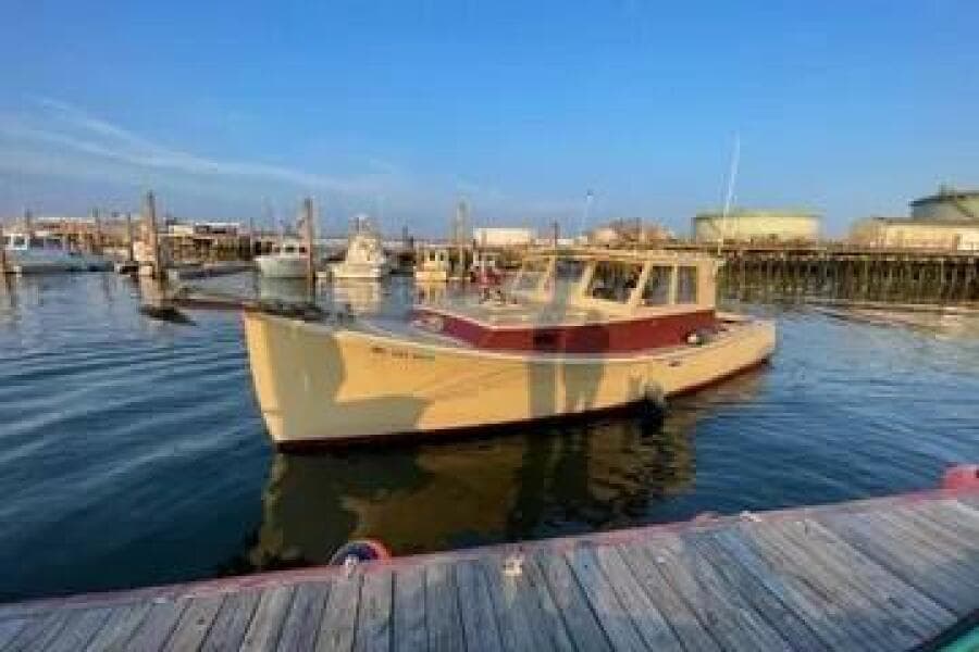 1981 Holland 32 Sport Cruiser