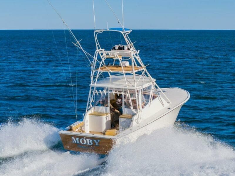 Cd4d99e2 C252 4bc2 A7d7 Bd7c3e66a786