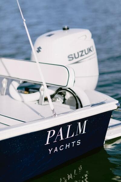 Palm Yachts 17 - Cockpit with Engine