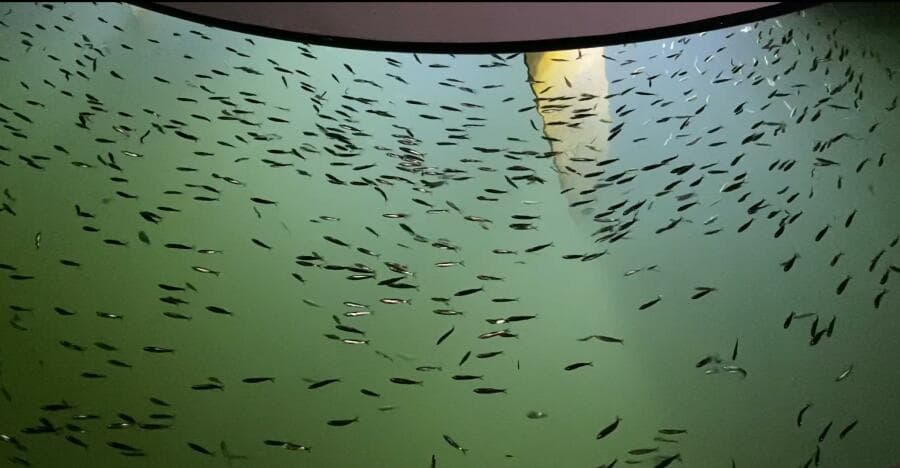 2014 Beneteau Oceanis 55