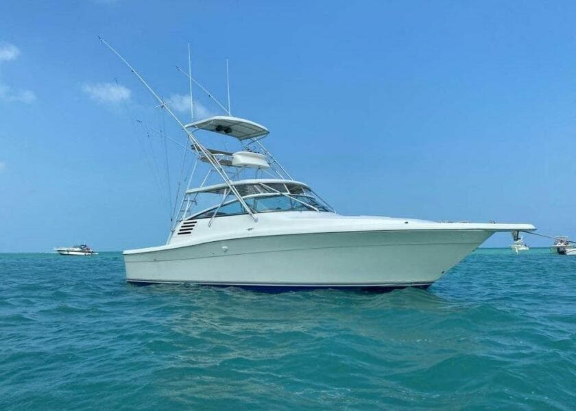 2001 Sea Ray 340 Amberjack