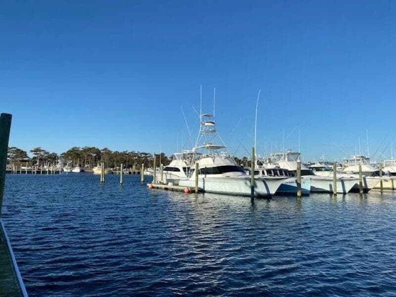 1988 Buddy Davis Custom Carolina