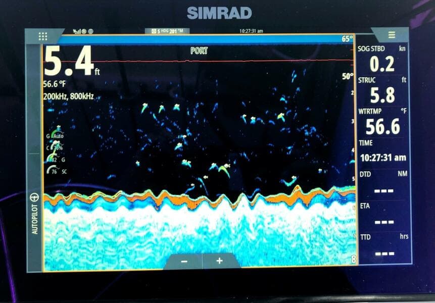 2017 Osprey Pilothouse 30 Fisherman