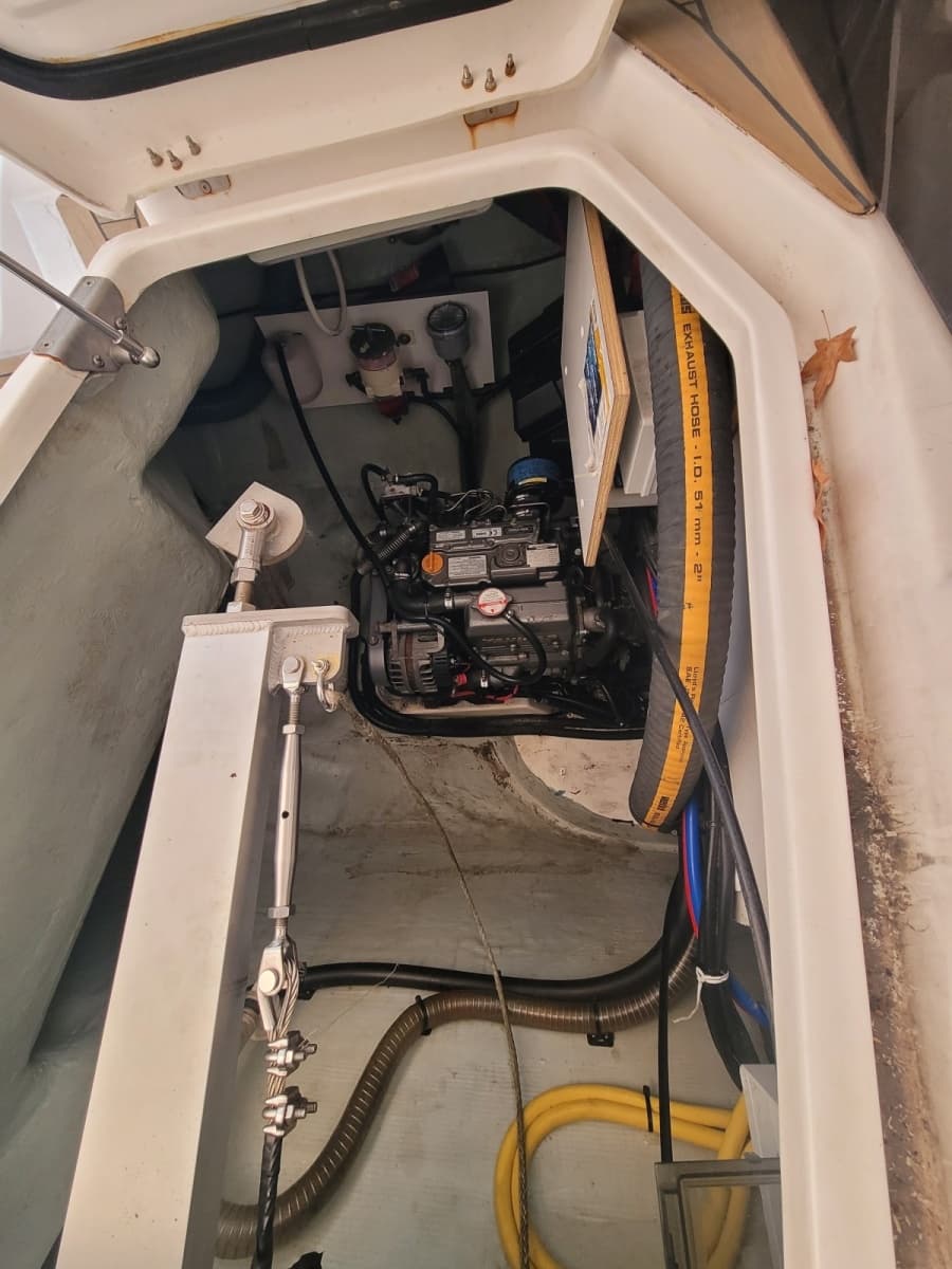 2018 Robertson & Caine Leopard