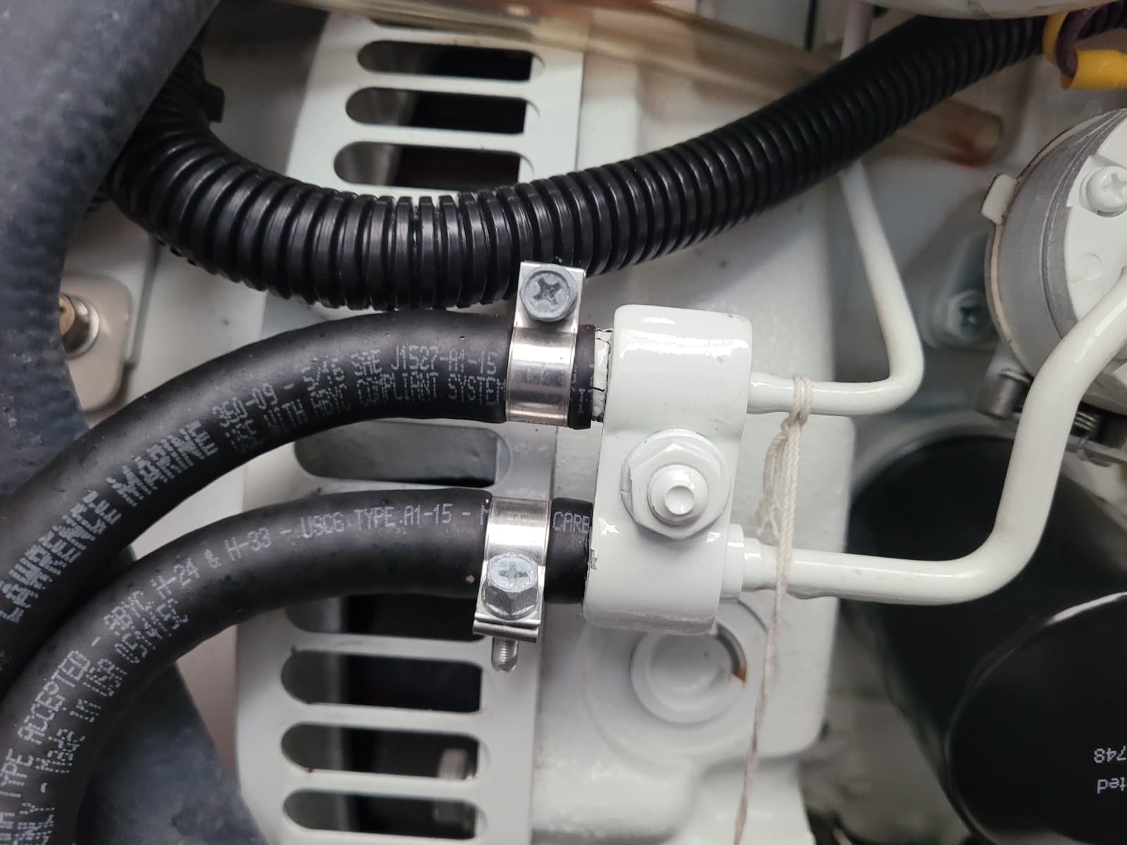 2018 Robertson & Caine Leopard