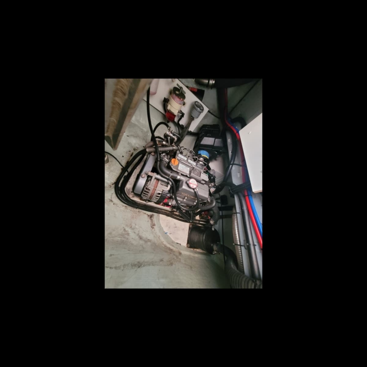 2018 Robertson & Caine Leopard