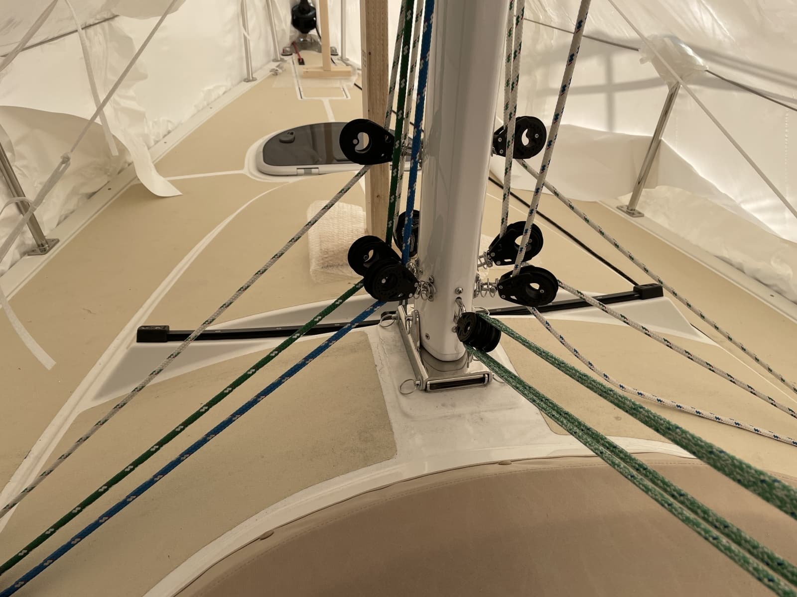 2025 Tartan Frantail DS