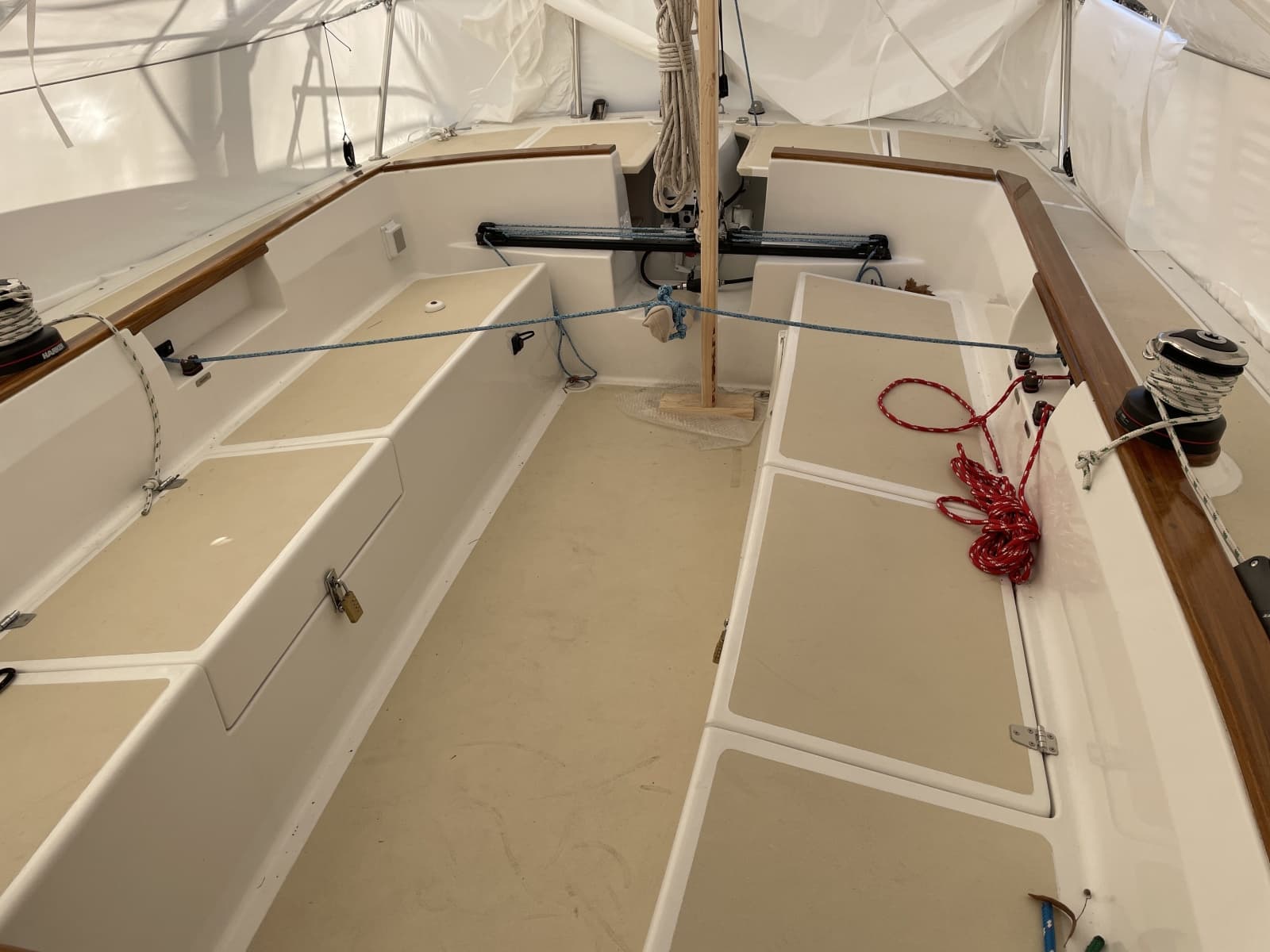 2025 Tartan Frantail DS