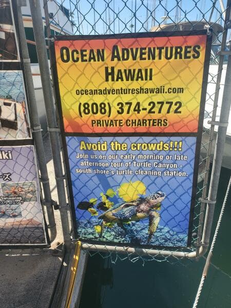 1981 CHB SEDAN-AFT CABIN