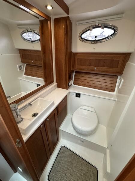 Back Cove 34 SHE'S A LADY - Head