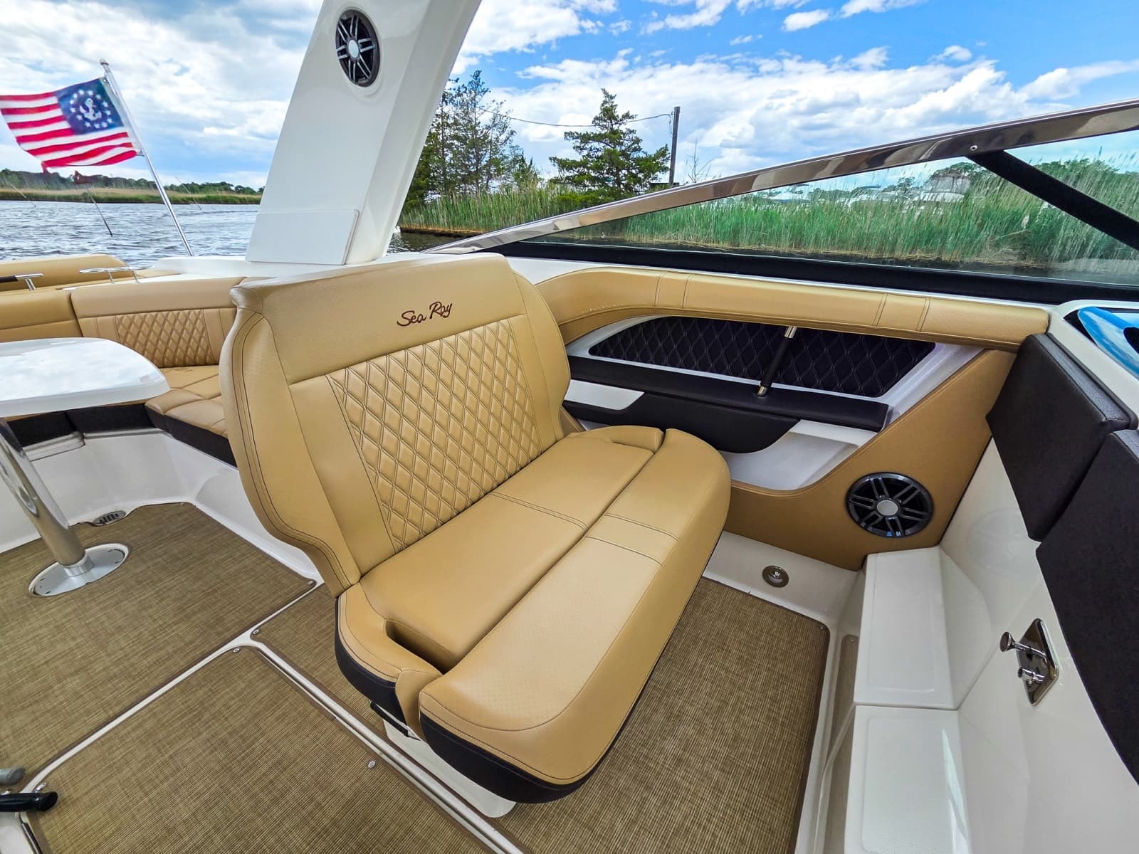 2023 Sea Ray SLX 310 OB - Photo 61