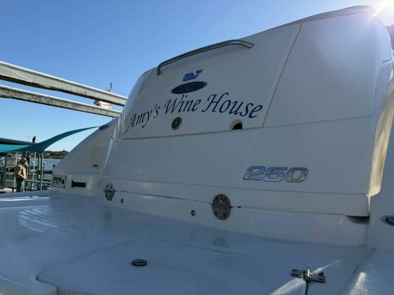 2008 Chaparral 250 Signature