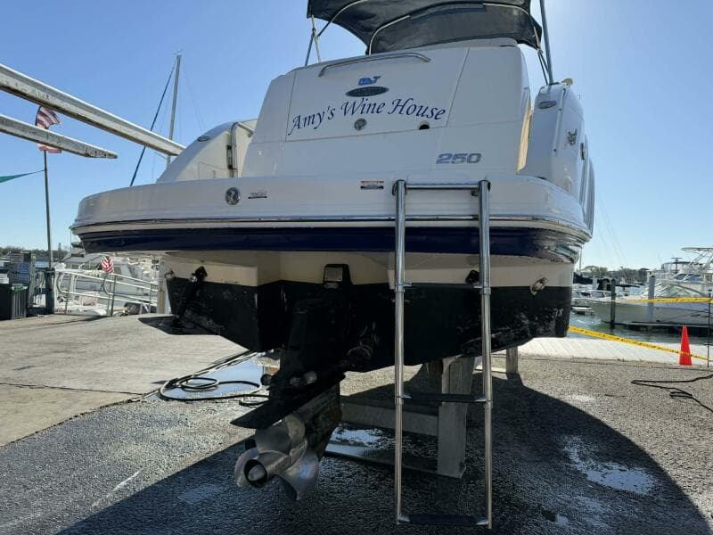 2008 Chaparral 250 Signature