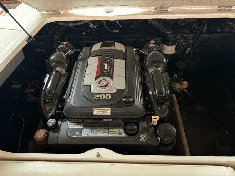 2019 Stingray 208 LS