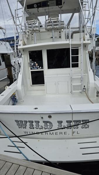 Viking 45 - Wild Life