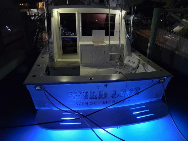 Viking 45 - Wild Life