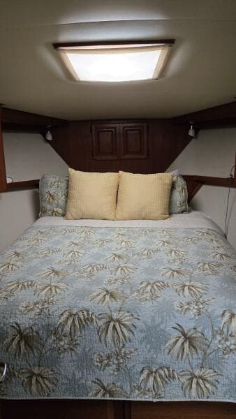 Viking 45 - Wild Life