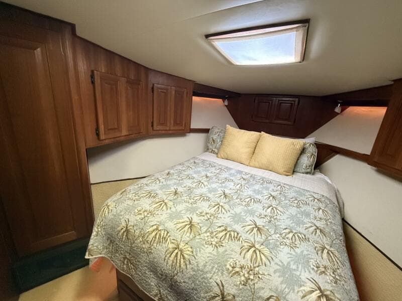 Viking 45 - Wild Life